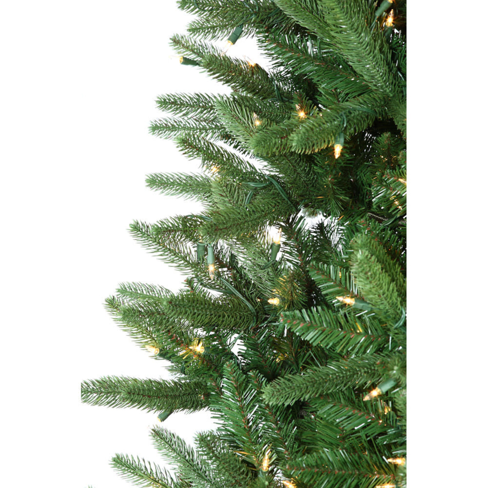 6.5' Mount Vernon Spruce Tree CTE #106 Staylit