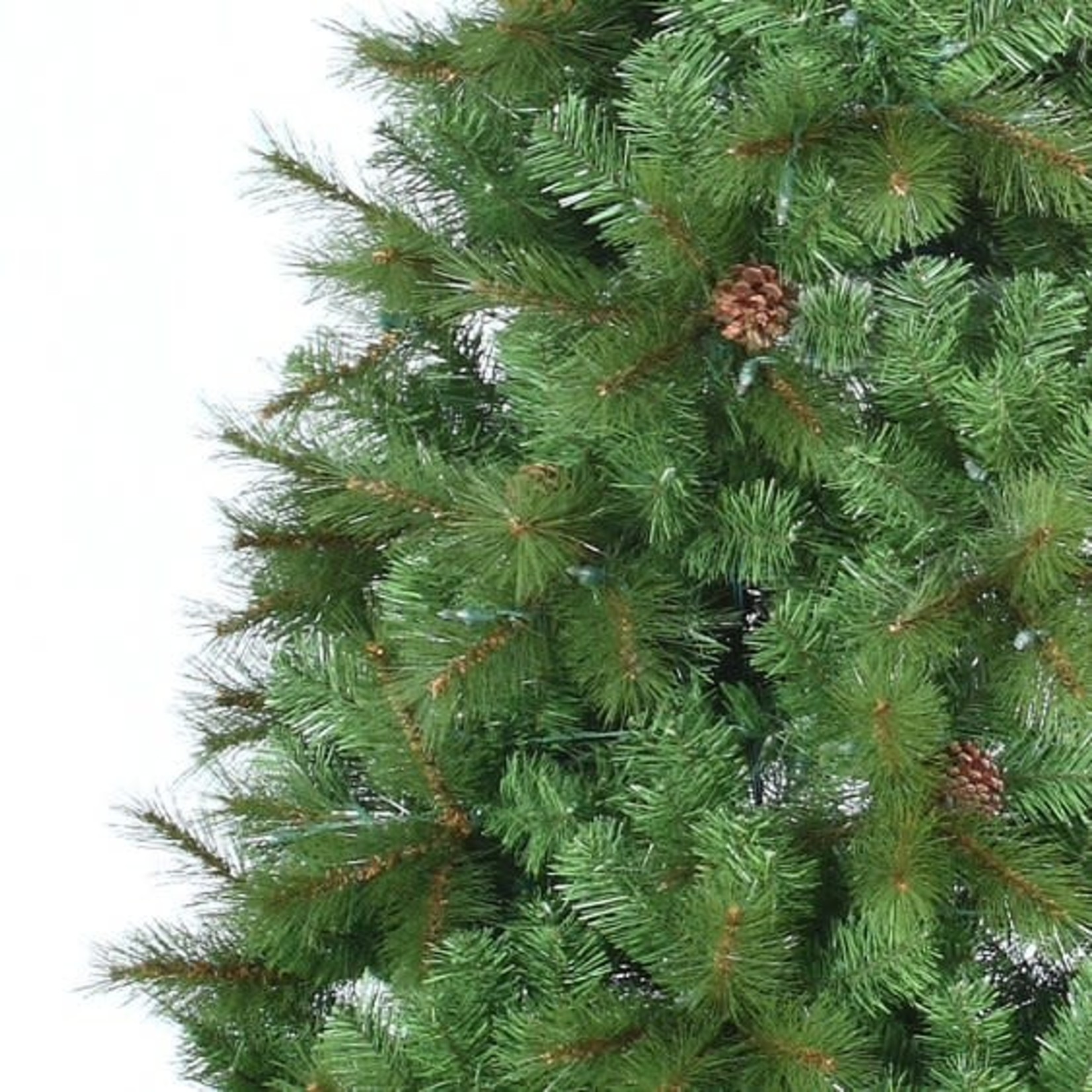 6.5' Illustrious Svelte Pine Tree CTE #26 Slim Staylit