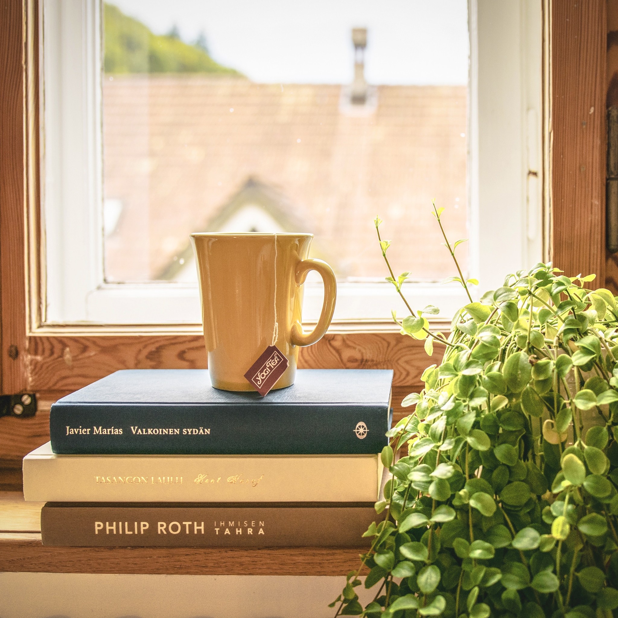 a steaming cup of hot tea on a pile of books next to a climber plant that flows off the shelf.