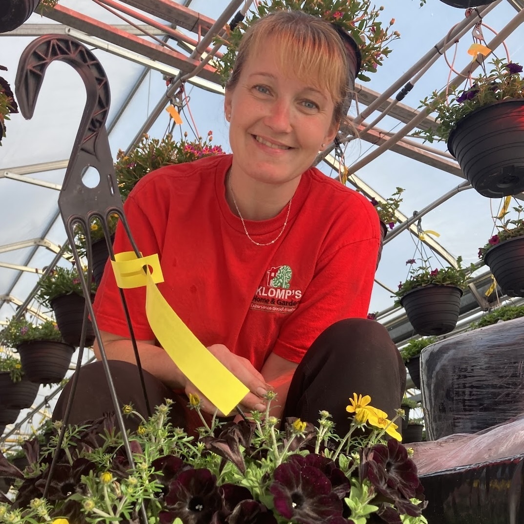 A Klomp’s employee checking on the plants in the greenhouse and taking care of them.