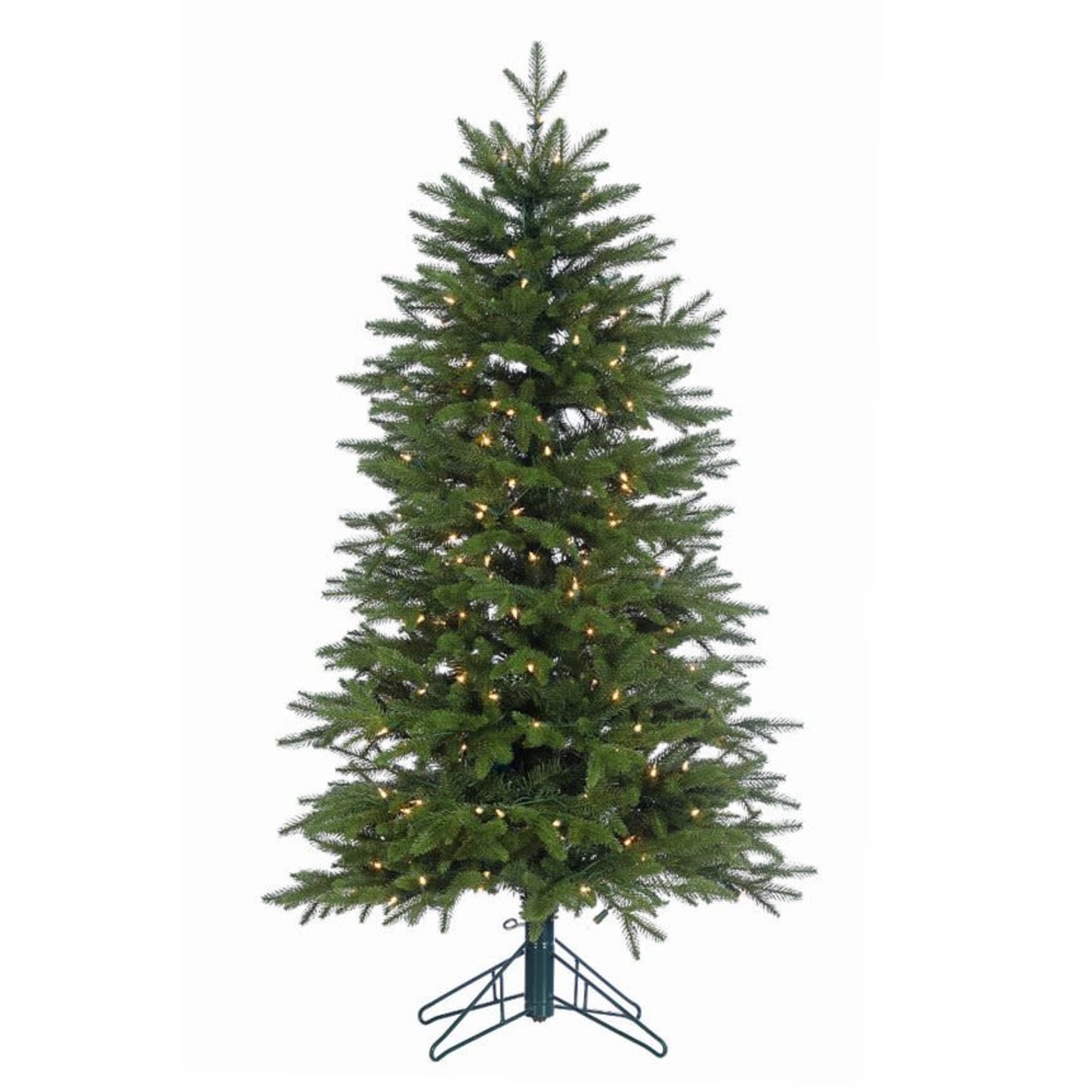 4.5' Rocky Mountain Fir Tree CTE #214 Staylit