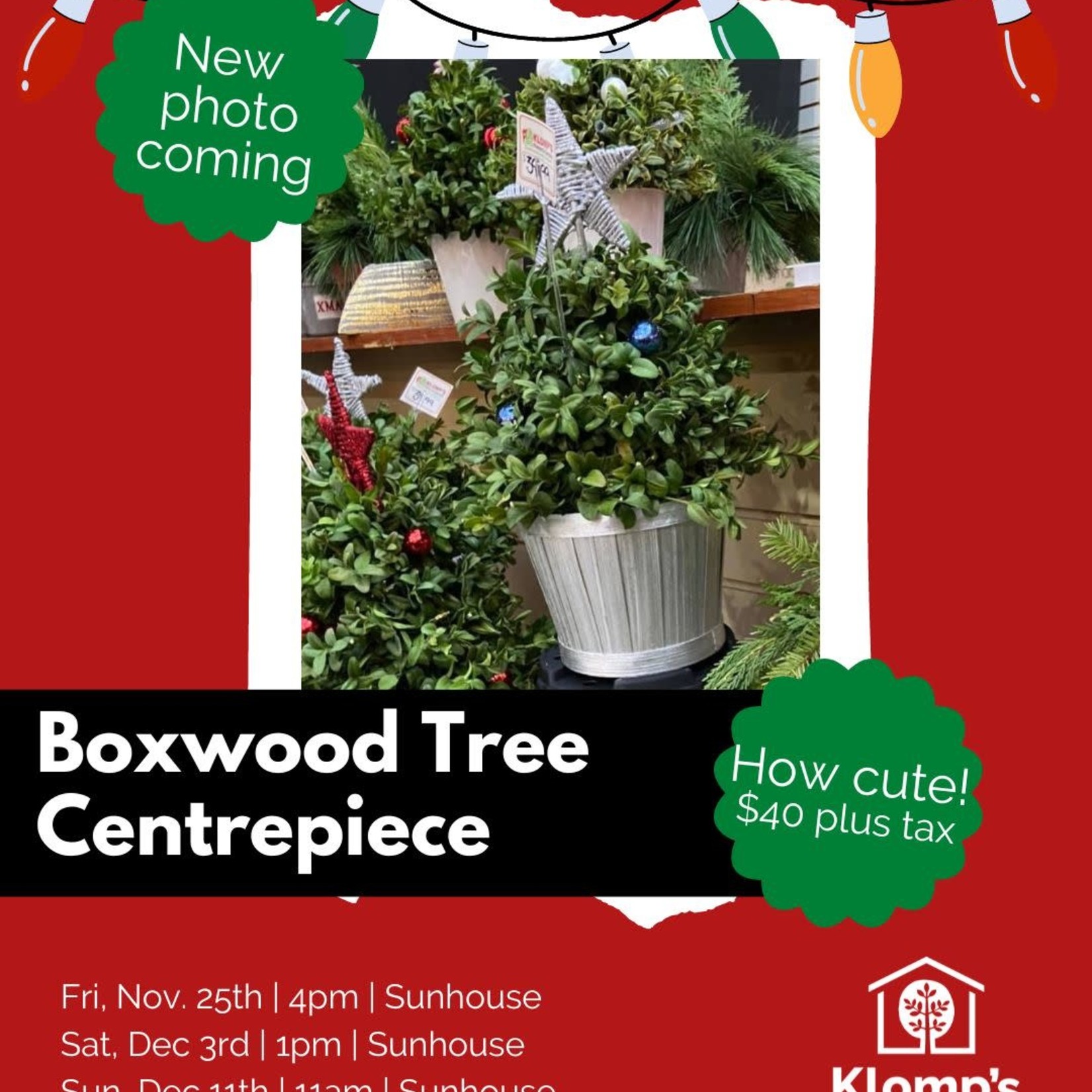 Boxwood Tree Centrepiece Workshop