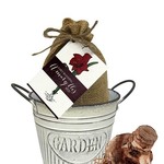 Van Noort GP7 Nature’s Blooms Amaryllis