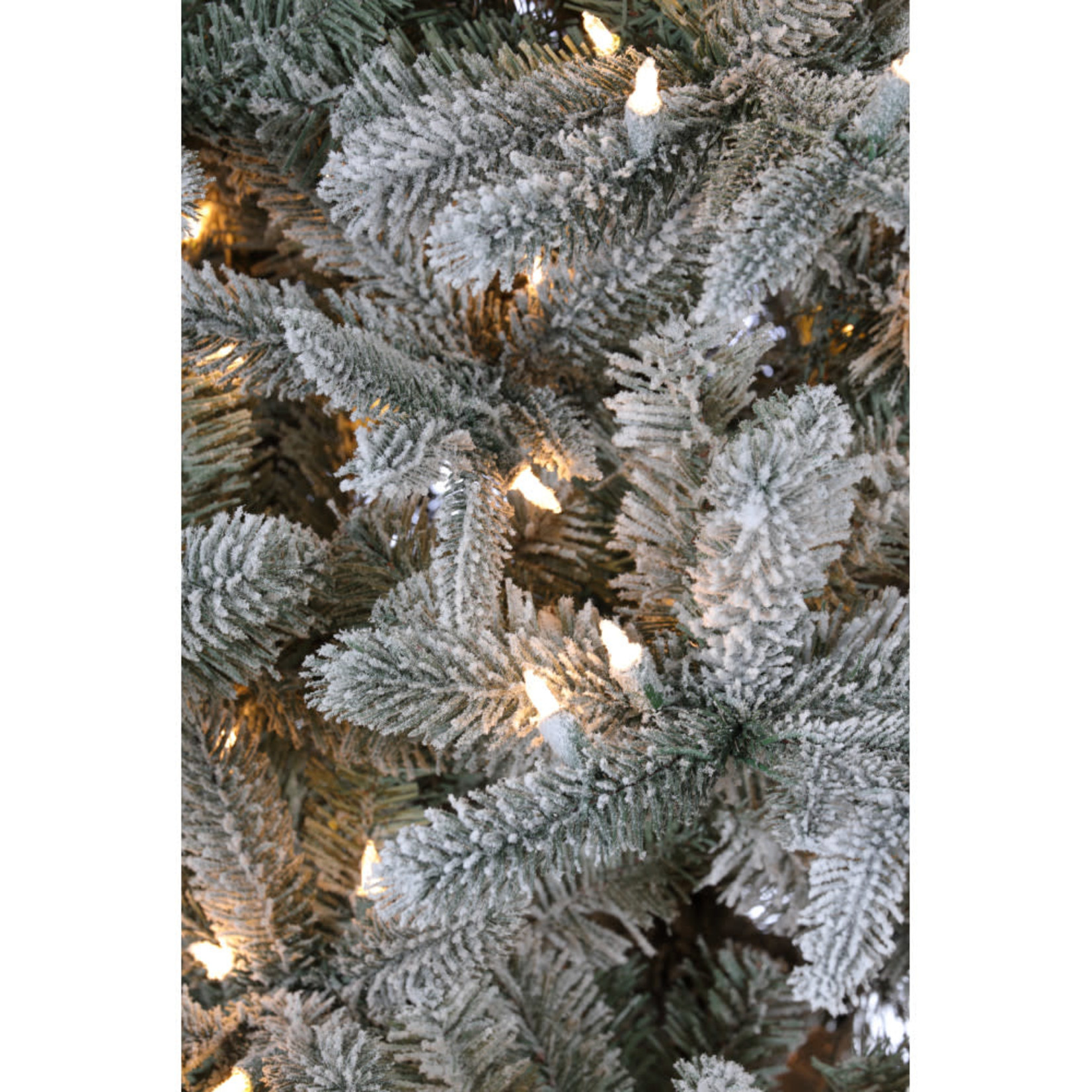 9' Christmas Morning Fir Tree CTE #19