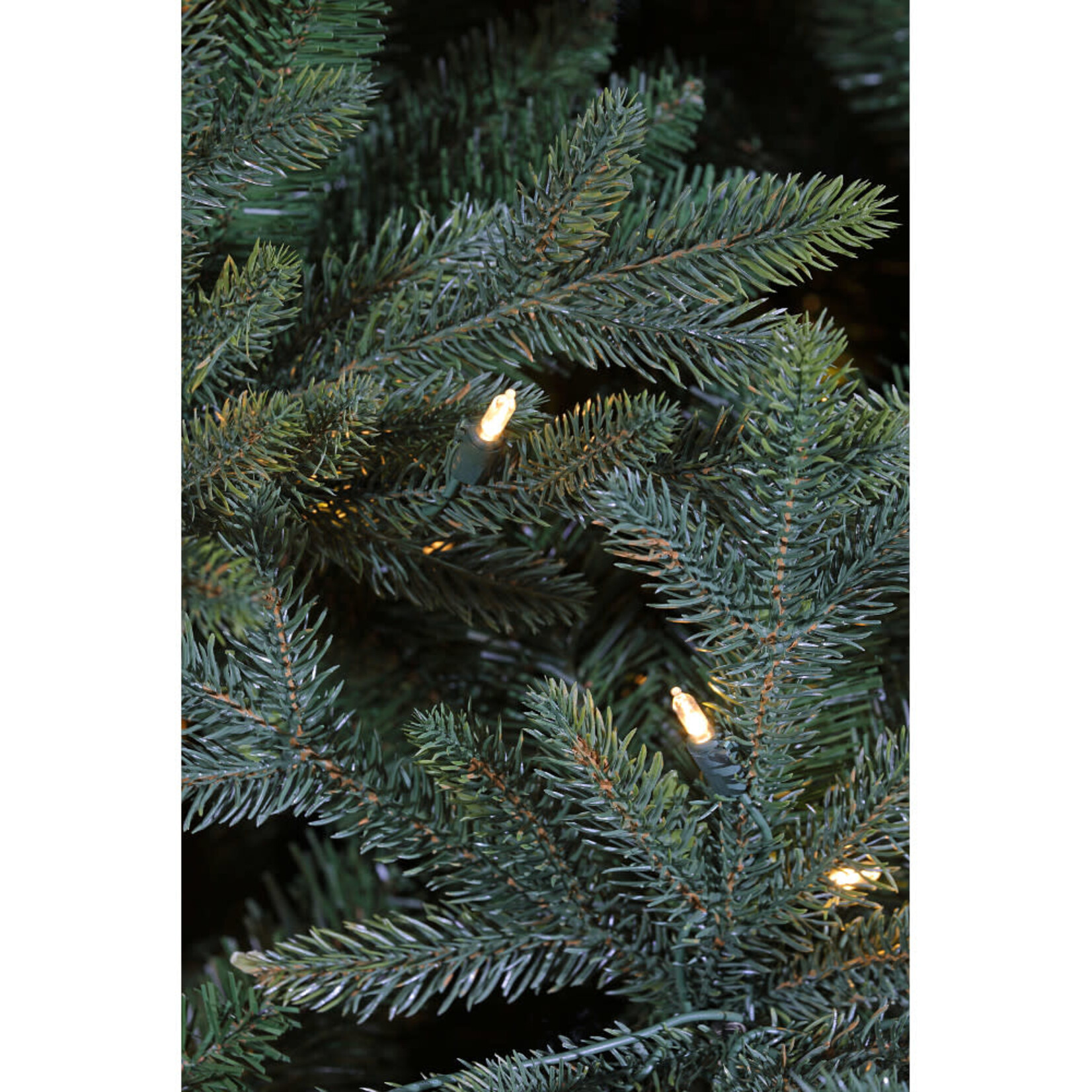 9' Holy Night Pine Tree CTE #59 Staylit