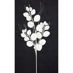 30" GLT EUCALYPTUS SPRAY- White