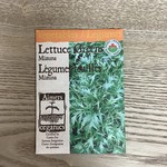 Aimers Lettuce  Greens " Mizuna" Organic Seeds