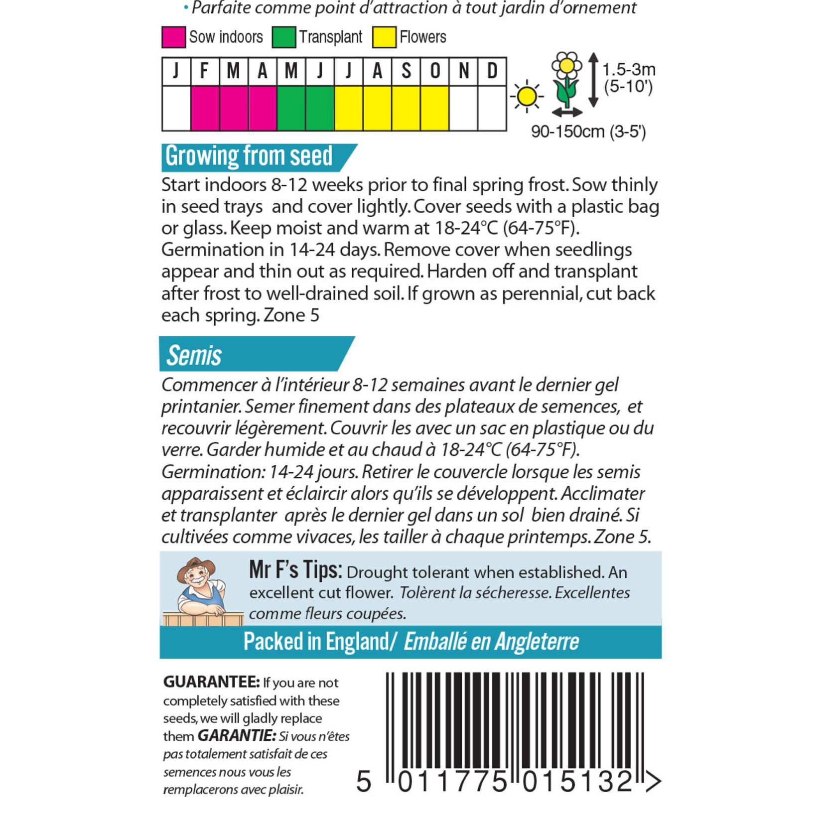Mr. Fothergill's GRASS Pink Pampas