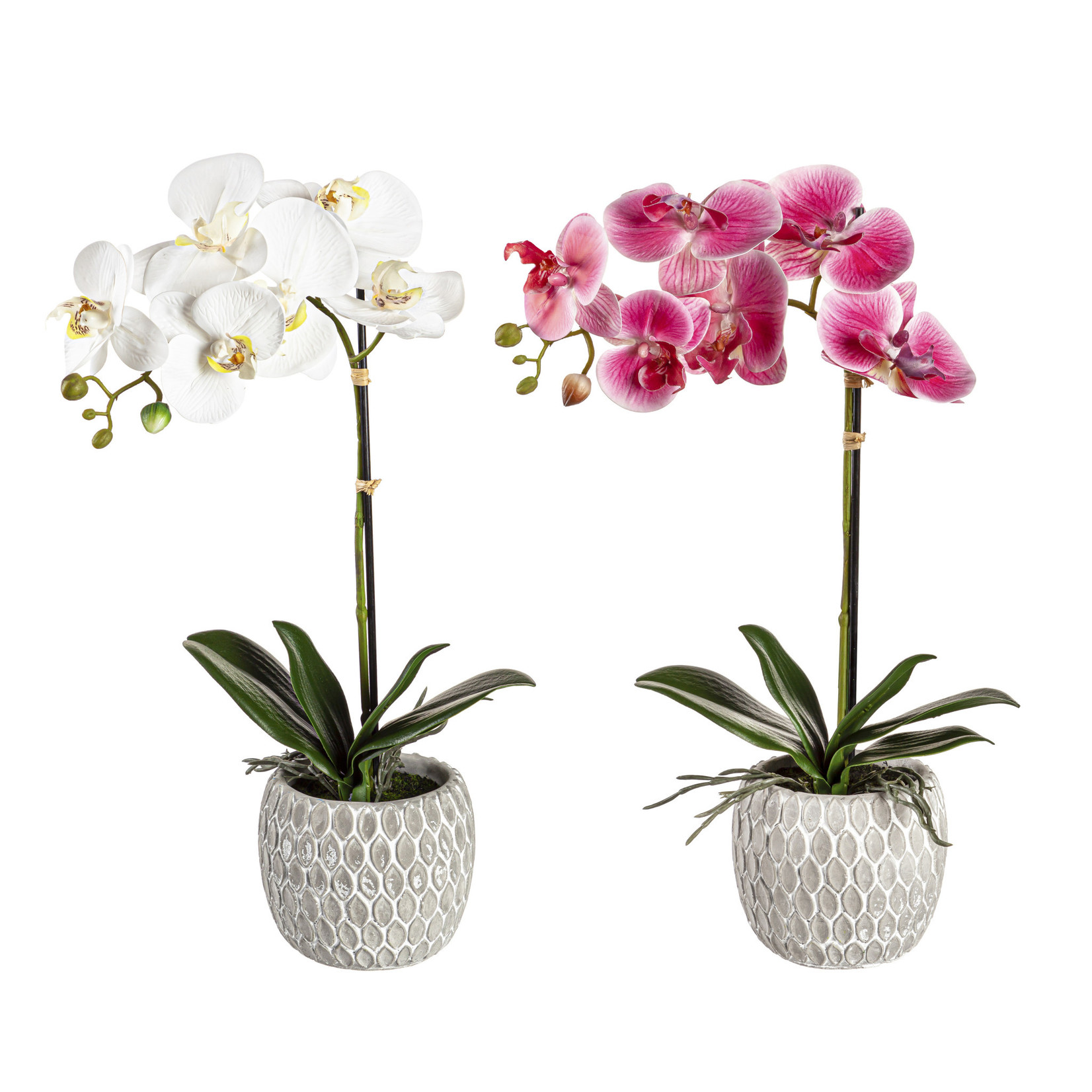 18" Artificial Orchid in Ceramic Pot Table Décor,