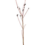 Second Nature Pussy Willow - Natural Black 3-4ft - Bulk Pack