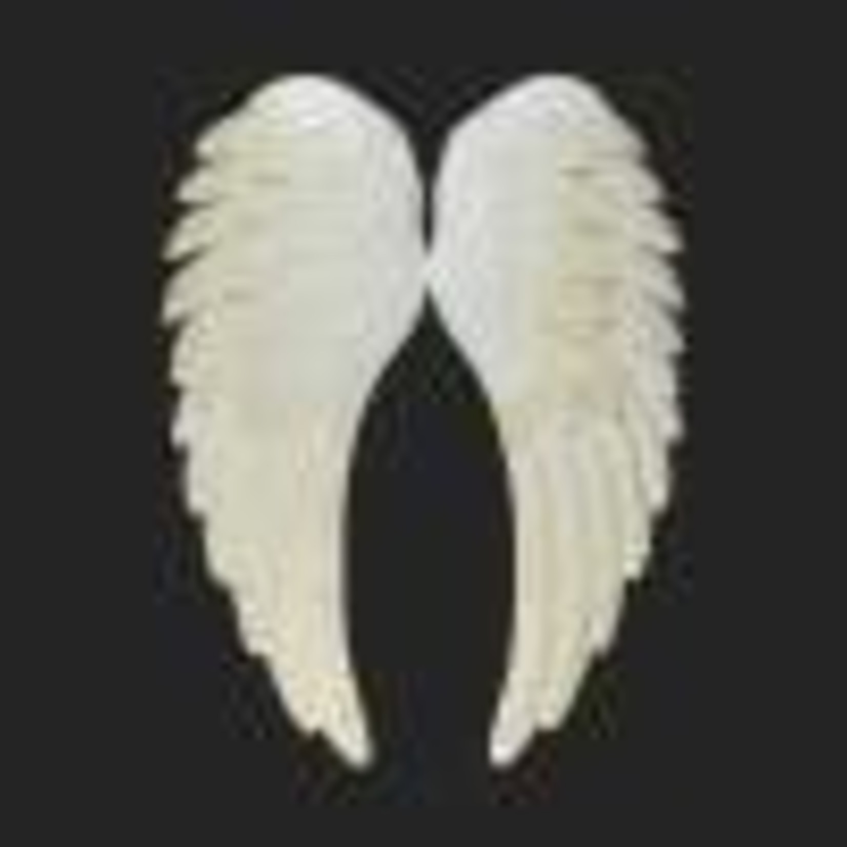 Christmas Traditions White Wings - Wall Art   23.5"