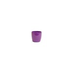 Purple Dolomite (Fits 4" Pot)