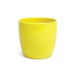 Yellow Dolomite ( fits 4"pot)