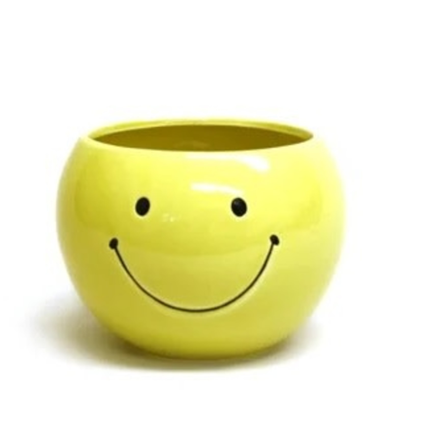 Yellow Happy Face Dolomite (fit 4" pot)