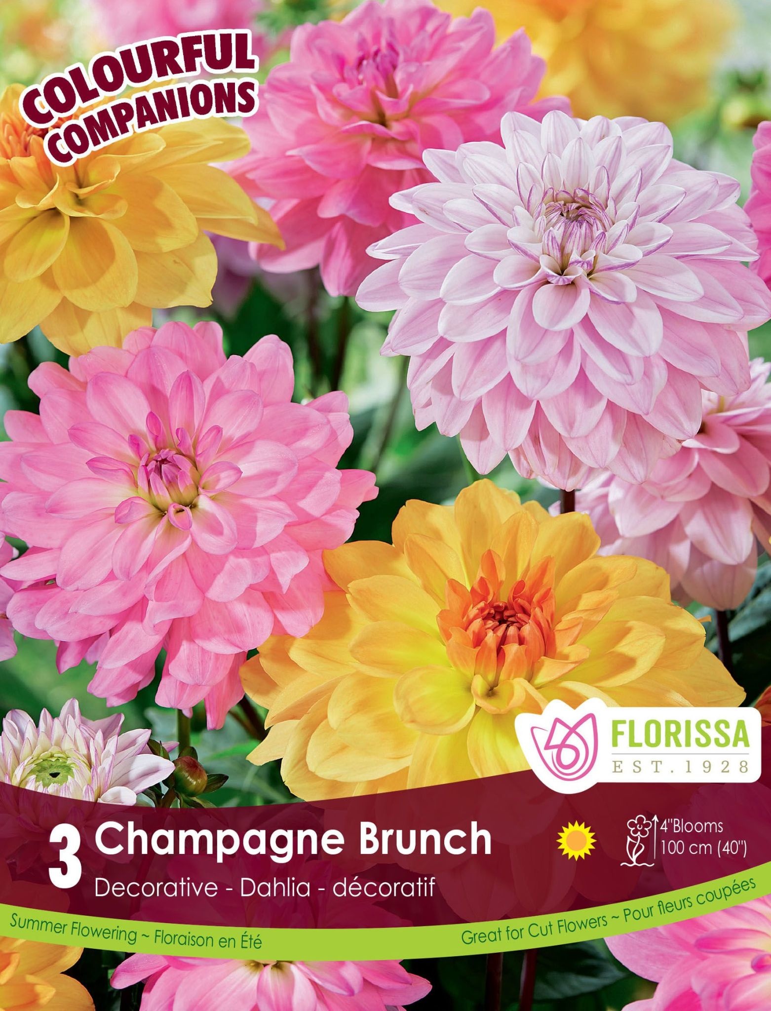 stina × familiar Dahlia Ballet Charm Bracken Ballerina is one of