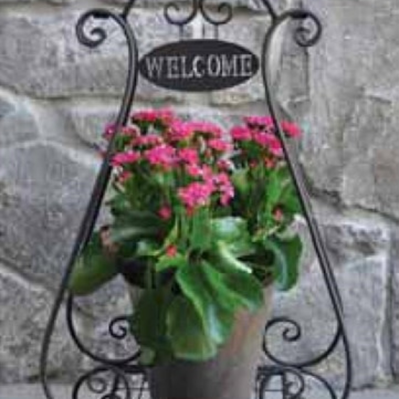Welcome Patio Plant Stand - Black
