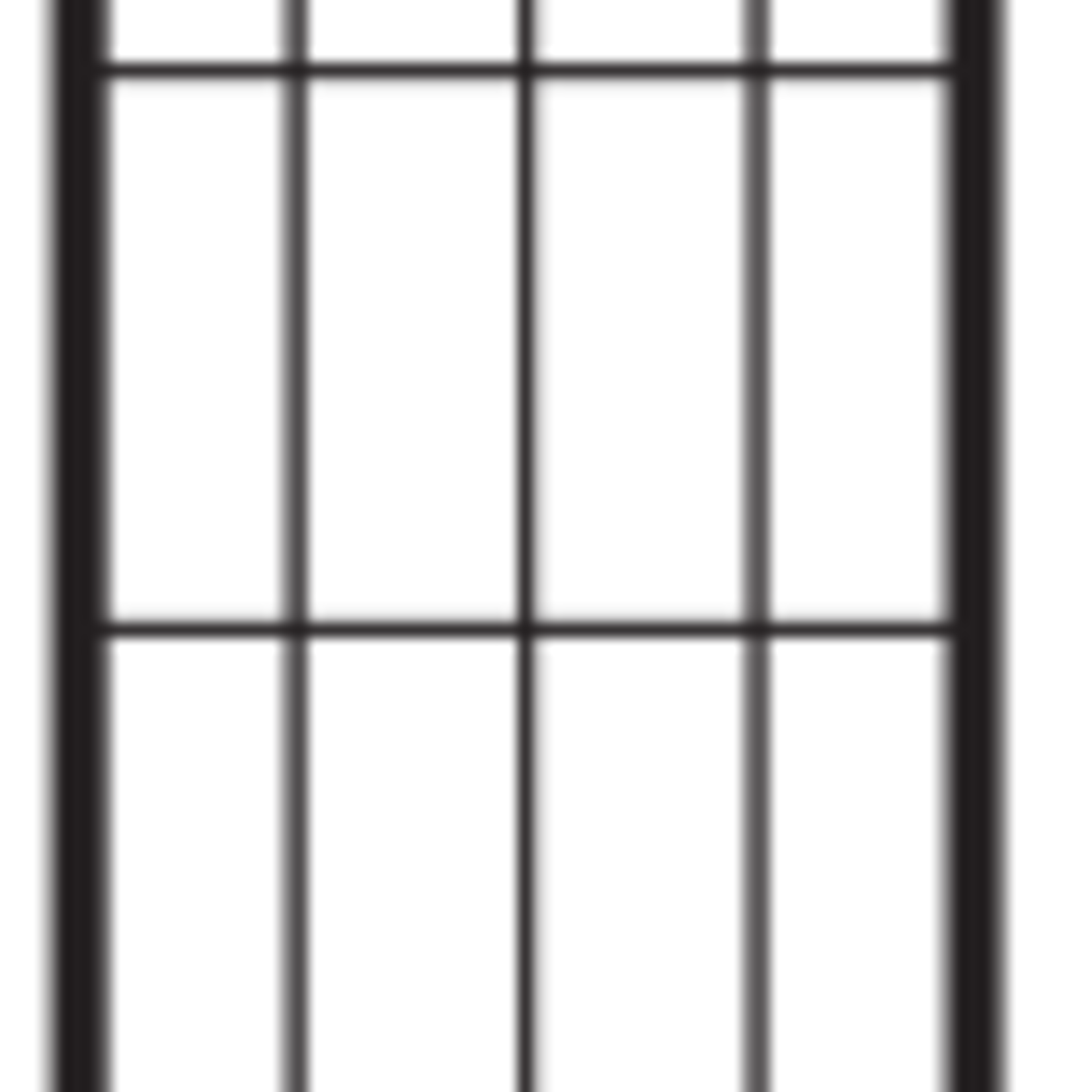 72x20 Arch Trellis  black