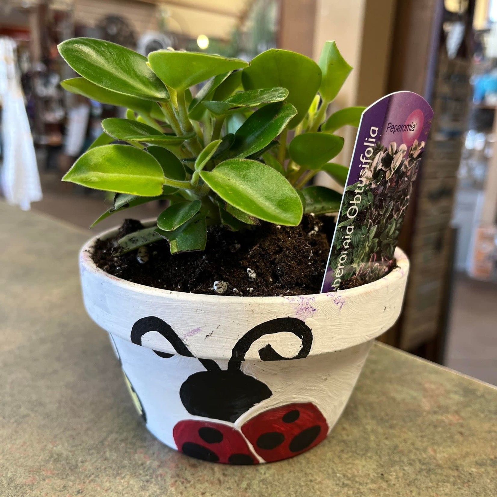 Paint your own Planter | Sunday | March 19th, 2023 | 12:30pm –1pm
