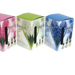 Van Noort Hyacinth on Glass - Gift Kit  3Assorted   1Pkg.