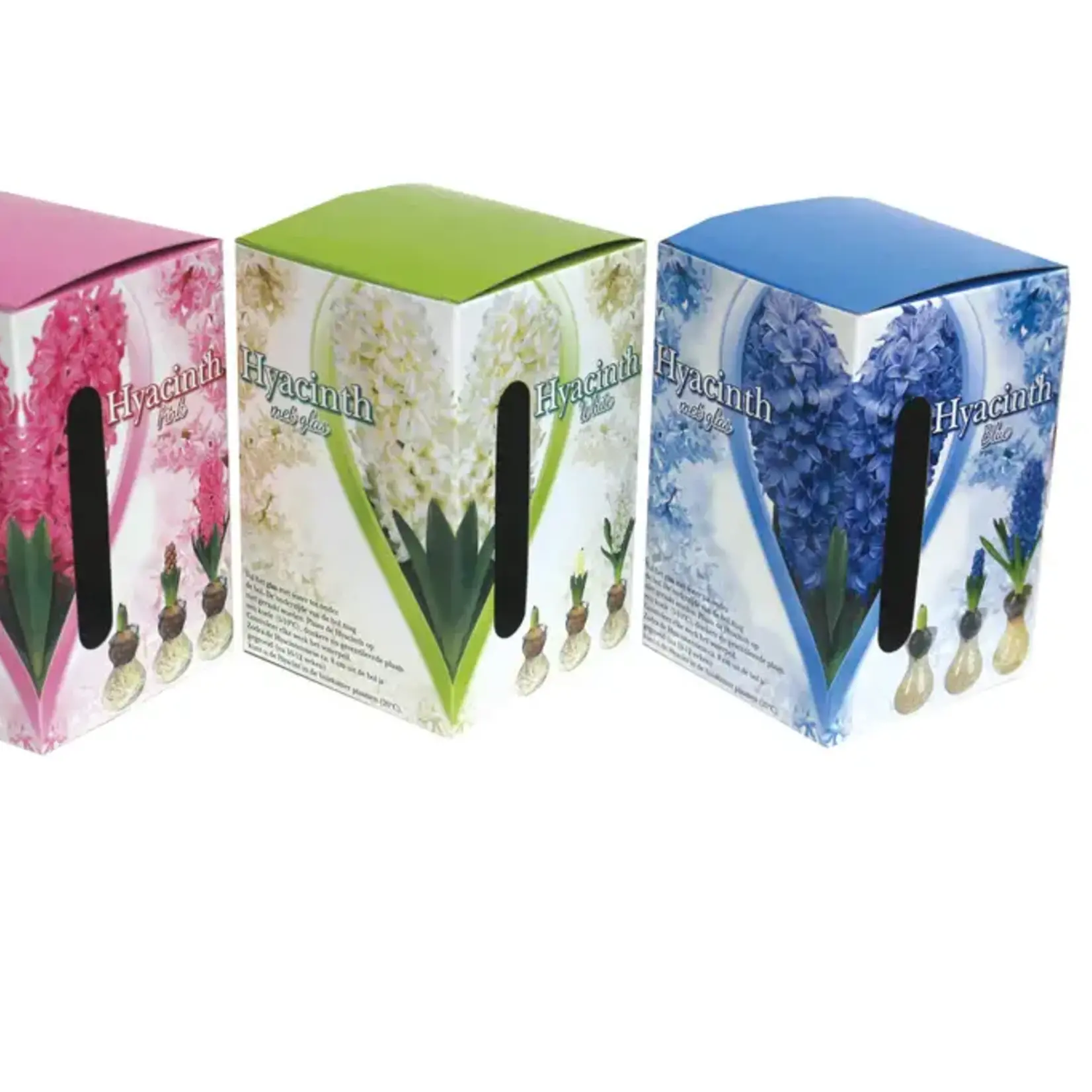 Van Noort Hyacinth on Glass - Gift Kit  3Assorted   1Pkg.