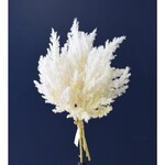 12" Dried Pampas Grass Bundle - Bleached