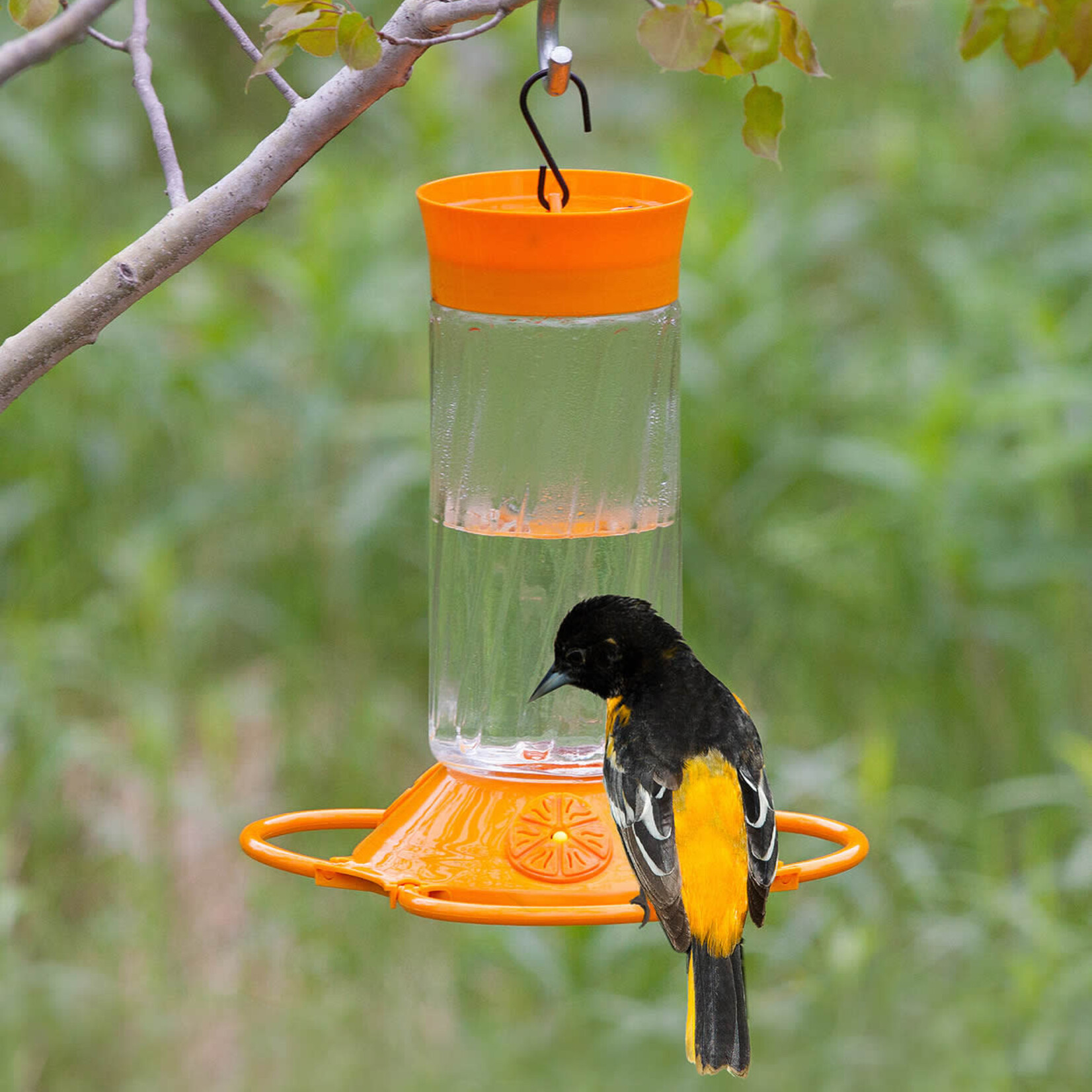 Armstrong Classic Deluxe Oriole Feeder