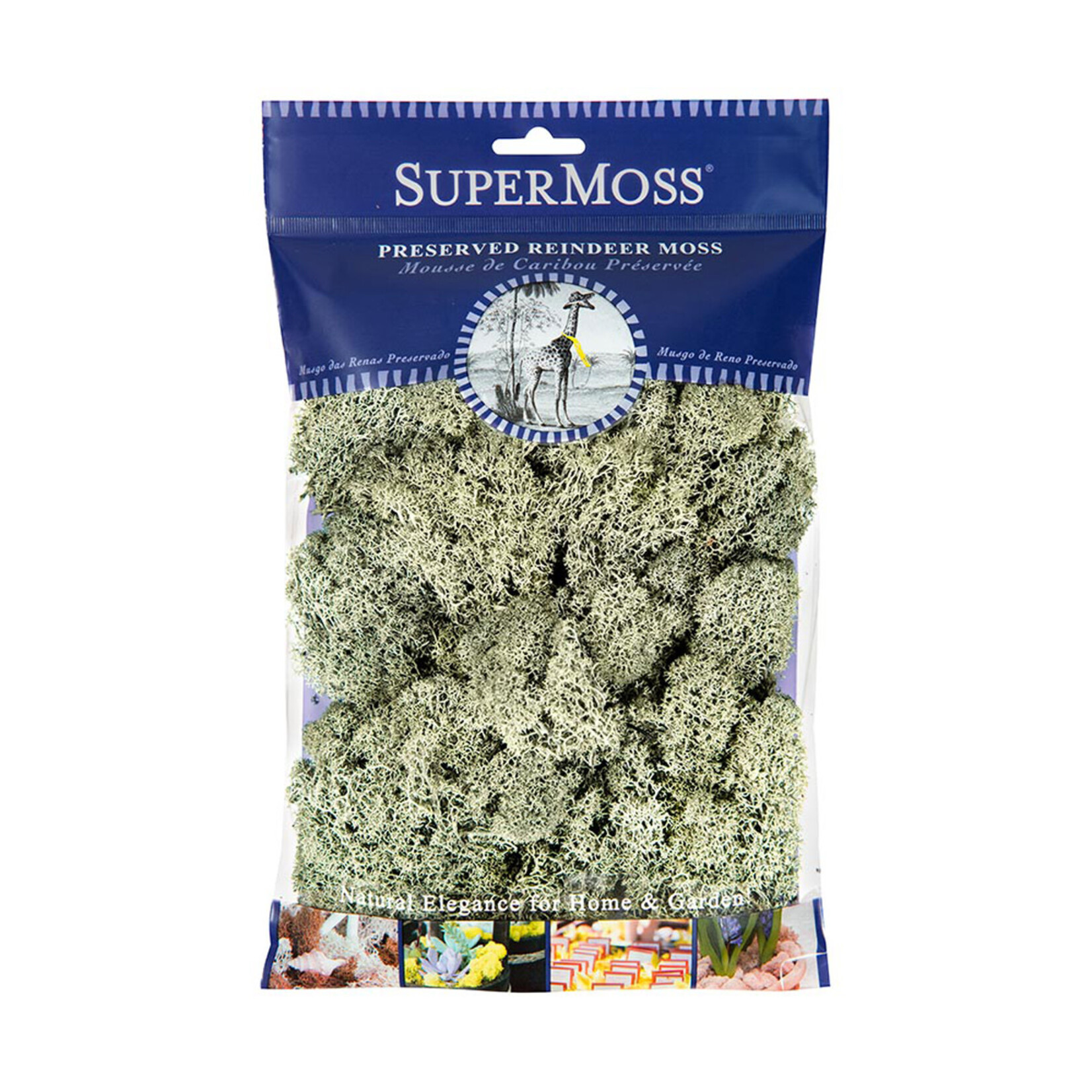 Supermoss Reindeer Moss PR HB2 Green