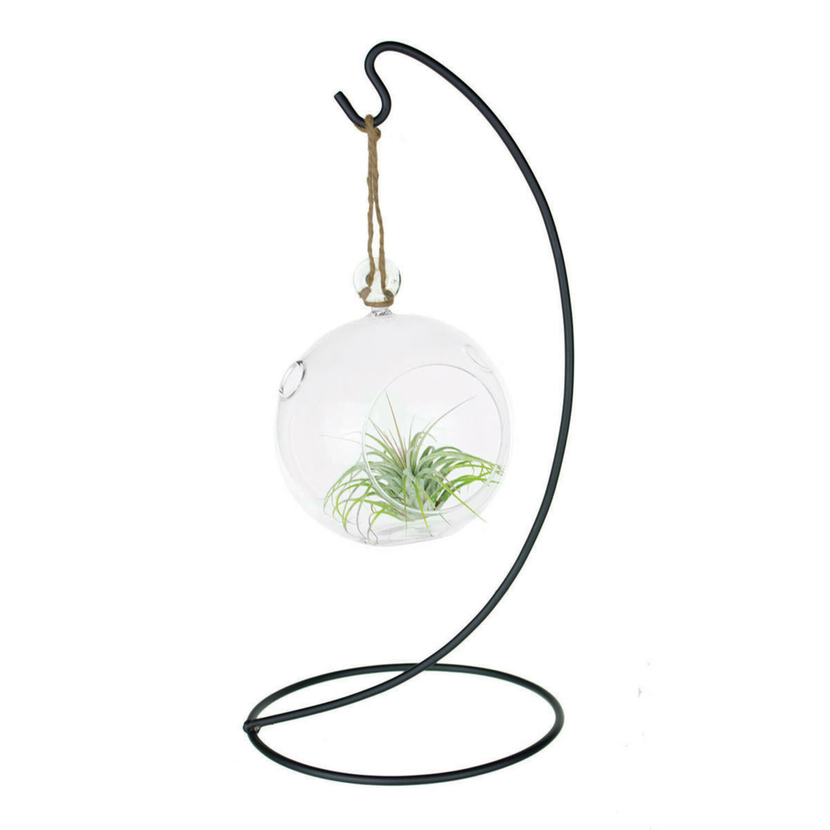 Syndicate 5 1/4" Round Hanging Terrarium with Wire Stand