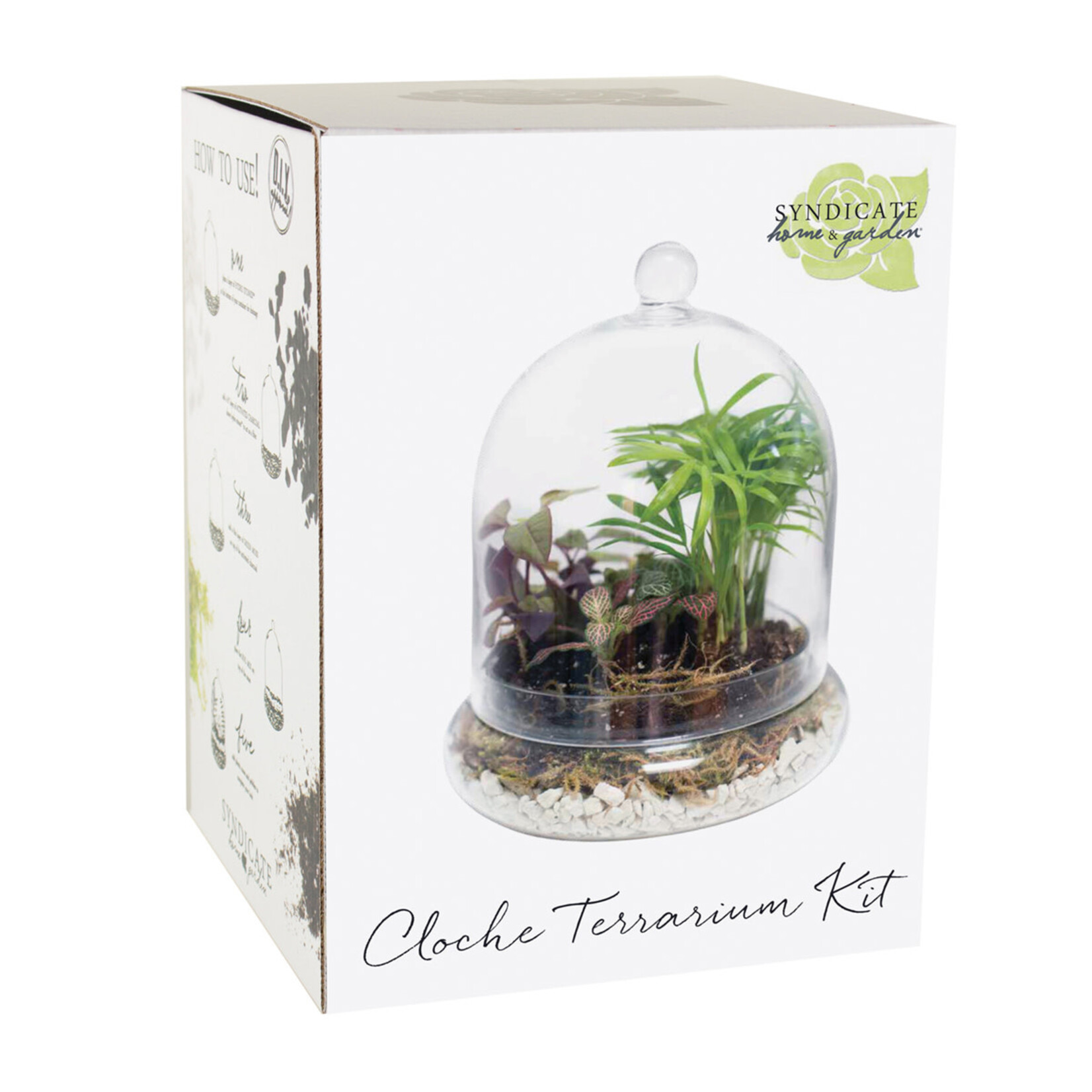 Syndicate 7" x 8 1/4" Cloche Terrarium Kit