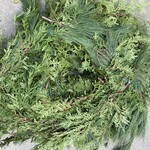 Mixed Garland Rope 25'