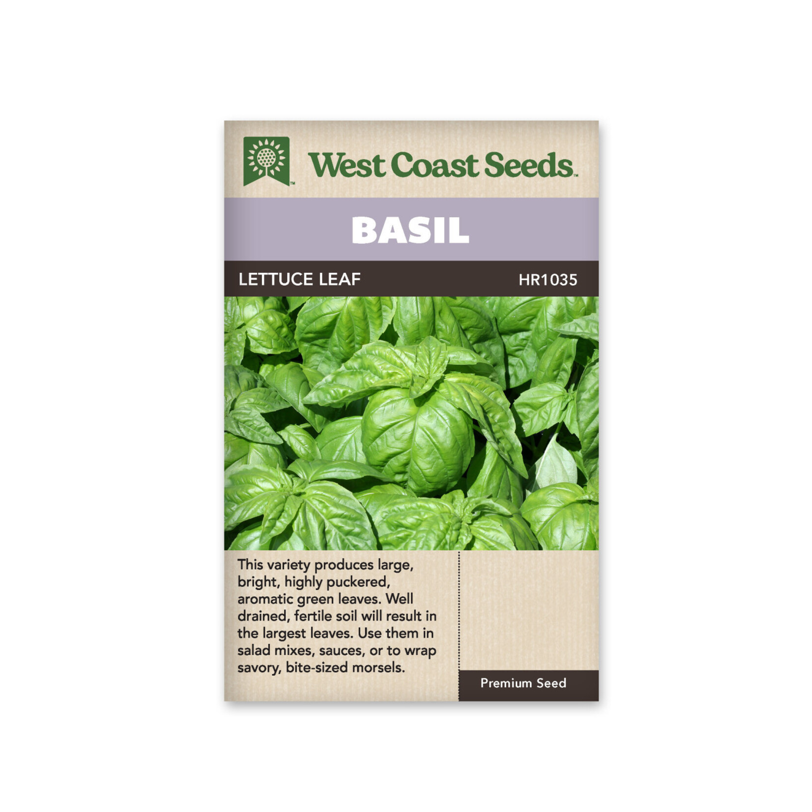 West Coast Seeds Basil - Lettuce Leaf