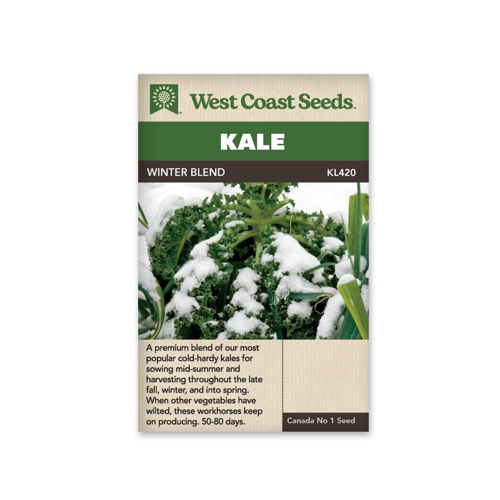 West Coast Seeds Kale - Winter Blend
