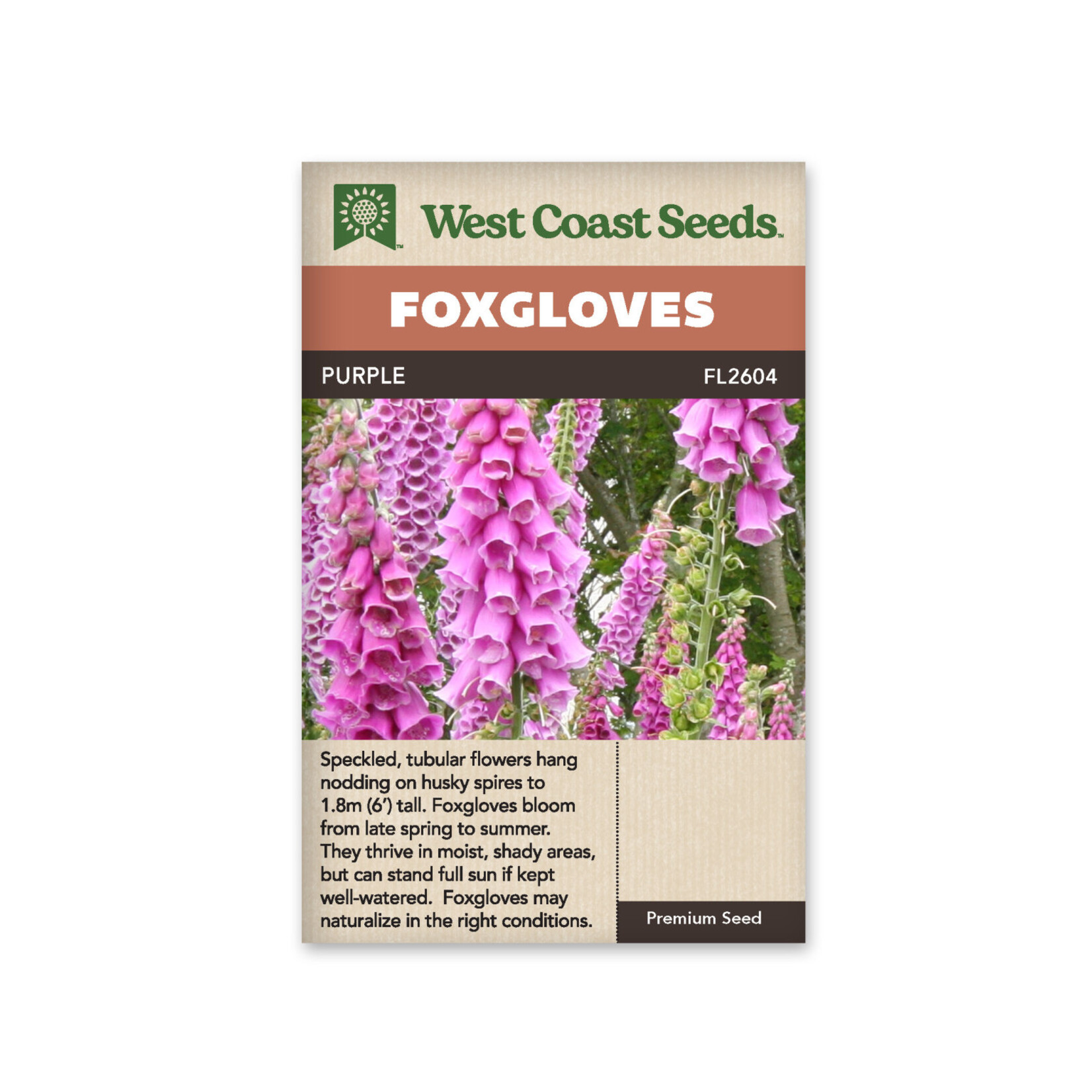 West Coast Seeds Foxglove - Foxglove