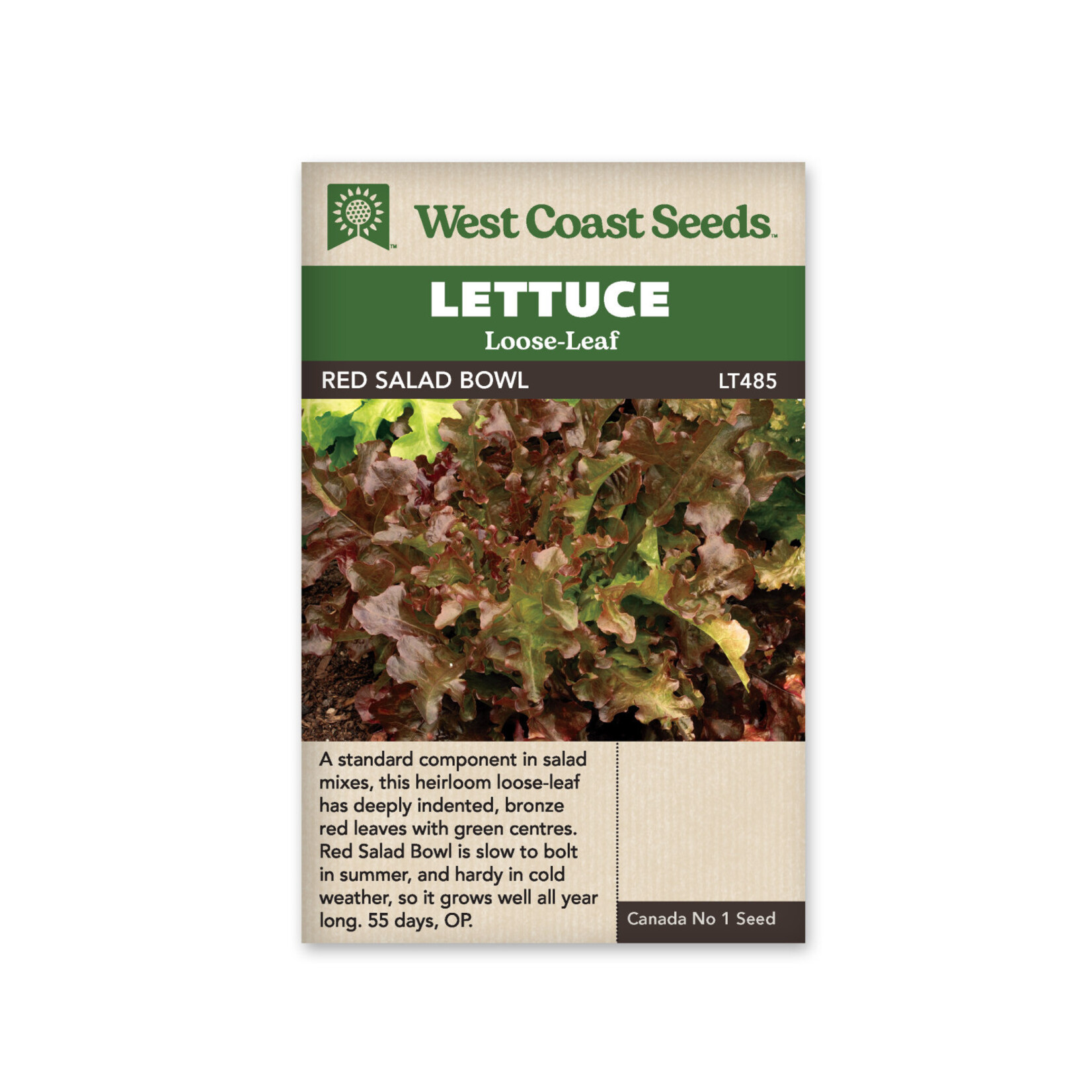 West Coast Seeds Lettuce - Salad Bowl Red