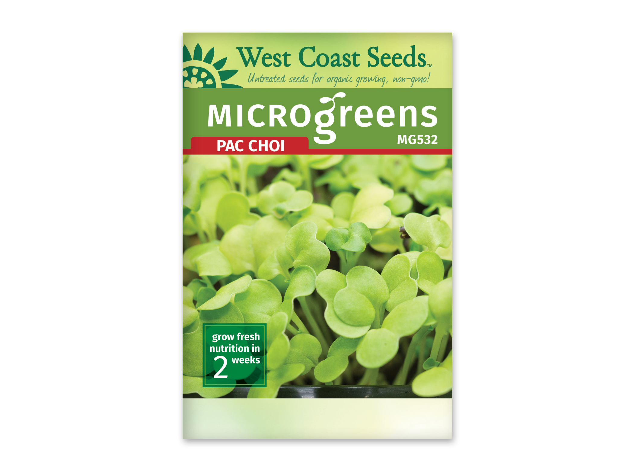 West Coast Seeds Pac Choi Microgreen Pac Choi Klomps Home and Garden