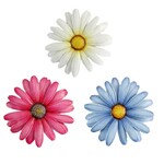 Daisy Wall Plaque - 3Asst.