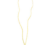Curly Willow - Natural Green 3-4ft - Per Branch