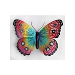 Multi-Coloured Butterfly