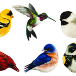 Realistic Bird Screen Door Savers, 6 Asst. Designs