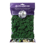 Supermoss Reindeer Moss Preserved Forest 2oz Bag