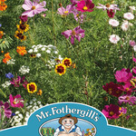 Mr. Fothergill's Mixed Cut Flowers Seeds