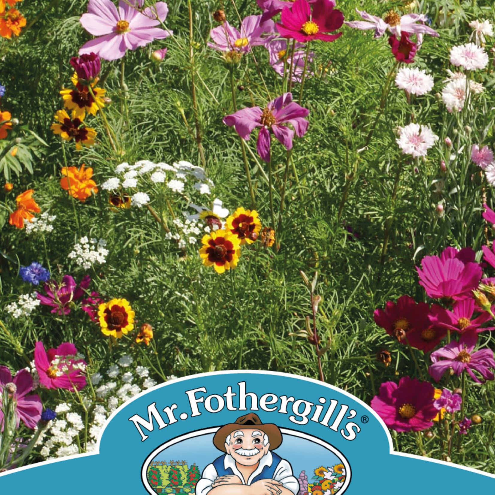 Mr. Fothergill's ANNUALS Cut Flowers Mix