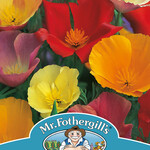 CALI POPPY Single Mixed