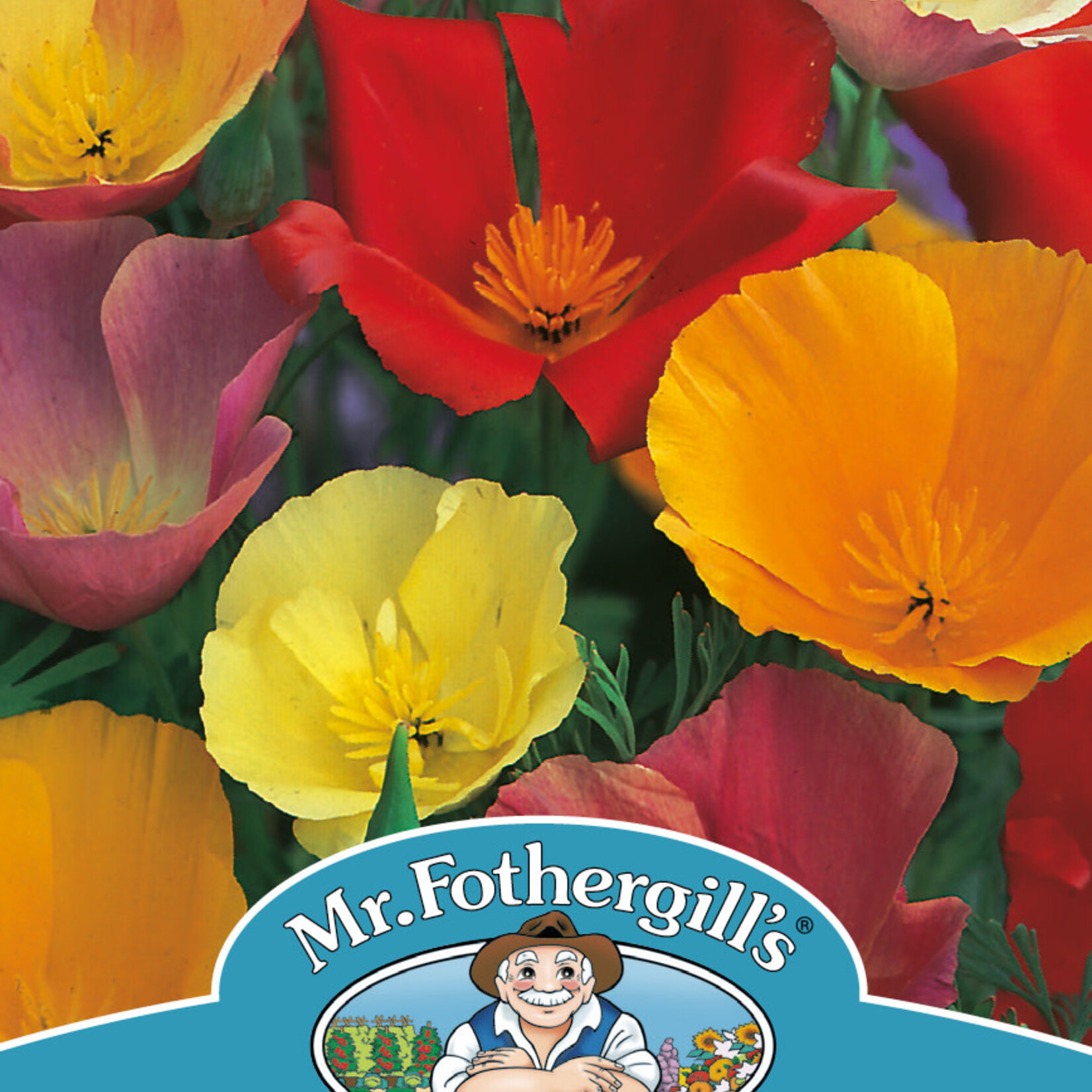 CALI POPPY Single Mixed