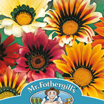 Mr. Fothergill's GAZANIA Sunshine Mixed Seeds
