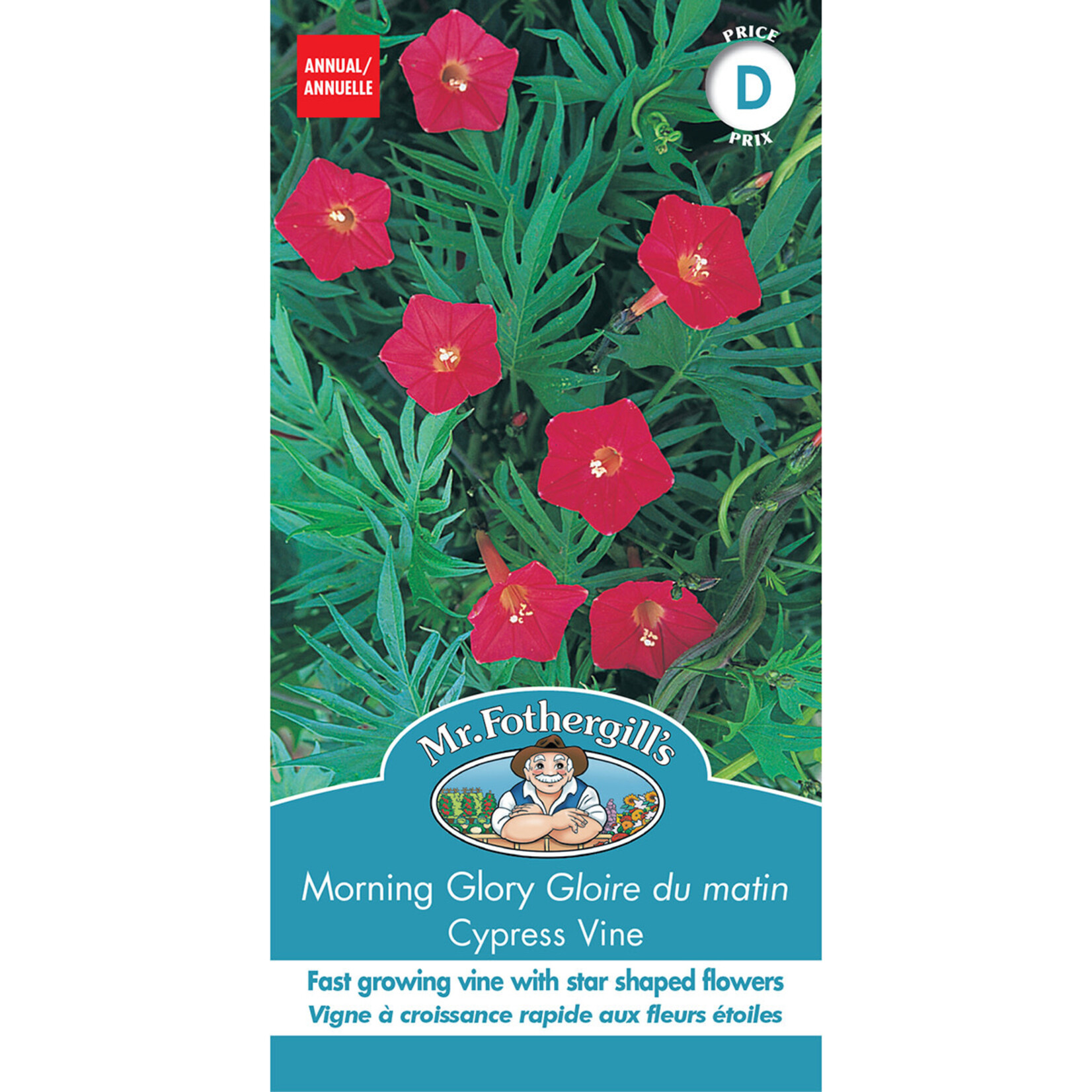 Mr. Fothergill's MORNING GLORY Cypress Vine