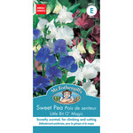 Mr. Fothergill's SWEET PEA Little Bit O Magic