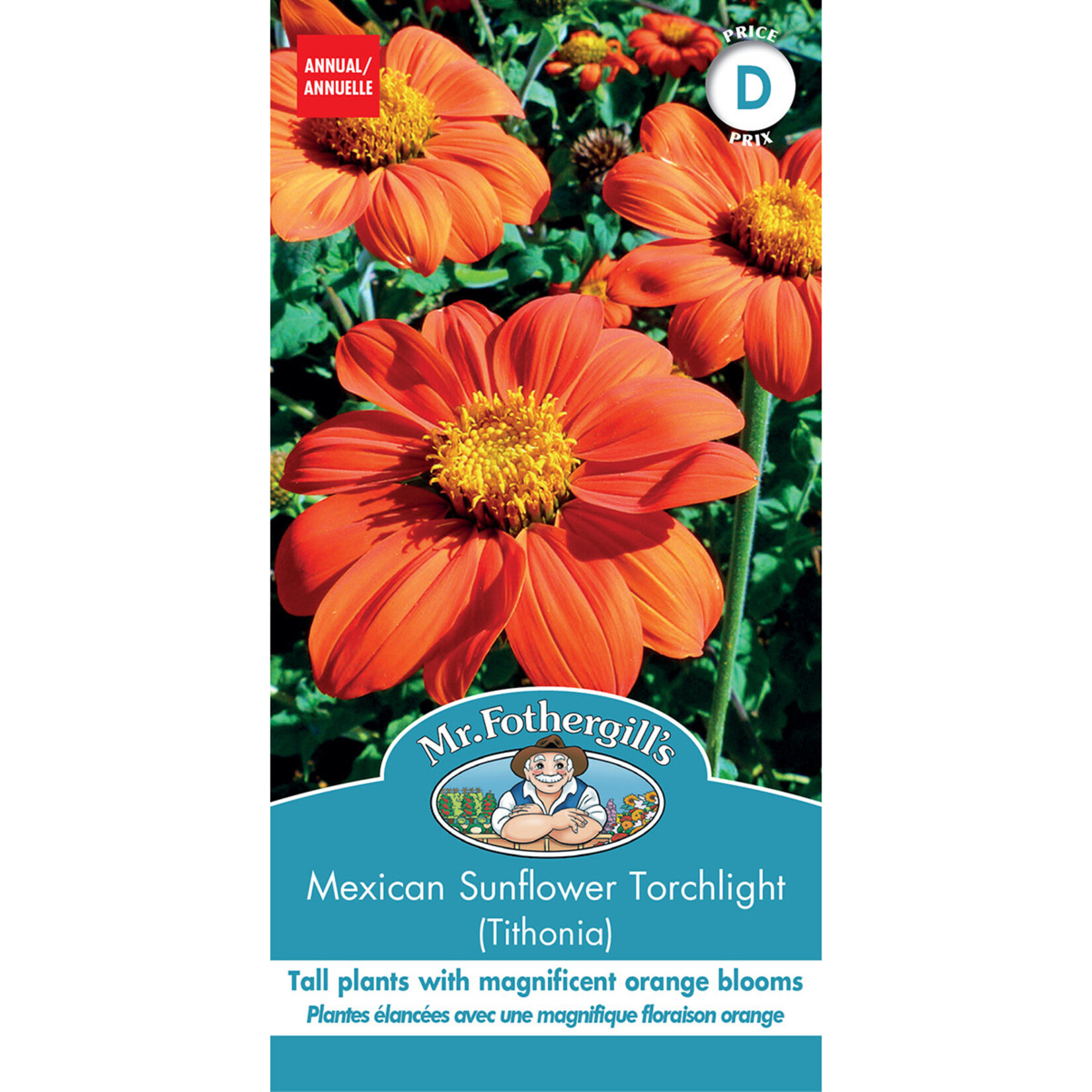 Mr. Fothergill's MEXICAN SUNFLOWER Torchlight Seeds