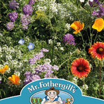 Mr. Fothergill's WILDFLOWER Bug Mix Seeds
