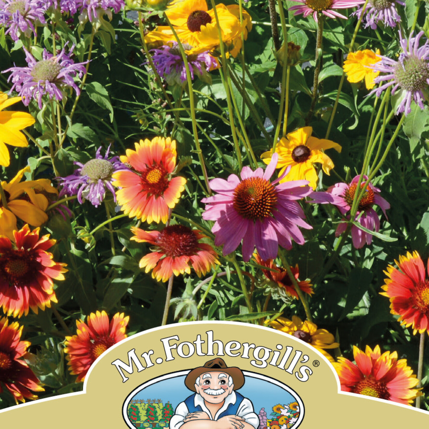 Mr. Fothergill's WILDFLOWER Sunny Mix  Seeds